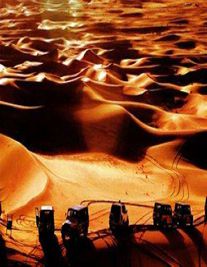 阿拉善盟婚姻律师照片